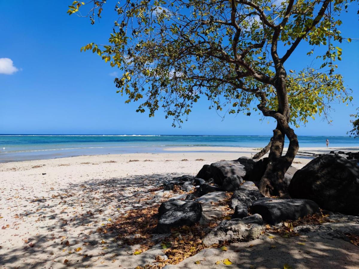 Mon Petit Paradis Flic en Flac Ngoại thất bức ảnh